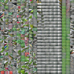 Walk in Seattle (1)-thumb