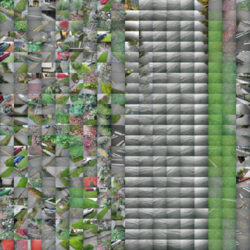 Walk in Seattle (2)-thumb