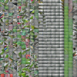 Walk in Seattle (3)-thumb