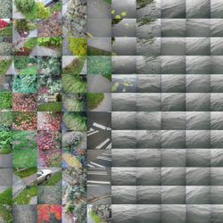 Walk in Seattle (5)-thumb